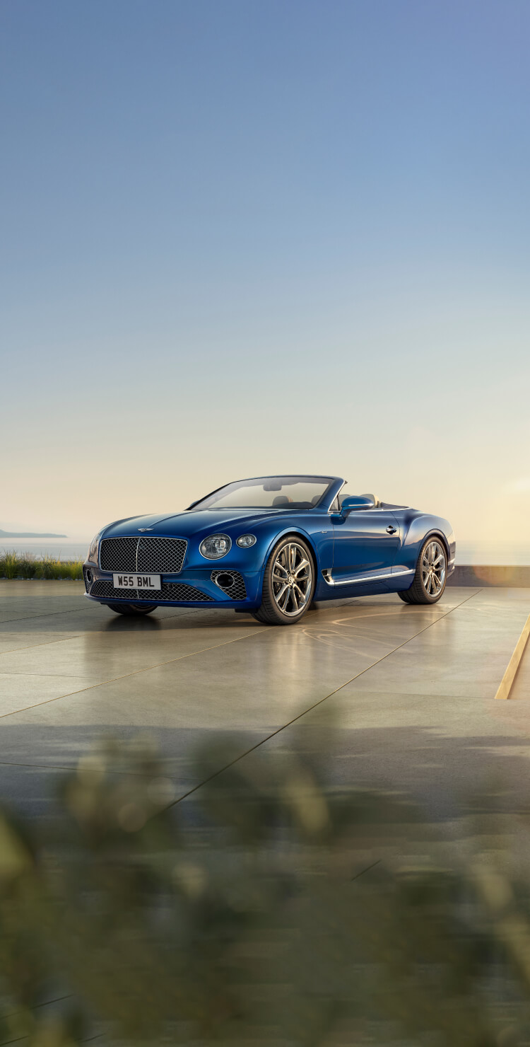 認定中古車買取・委託販売プログラム