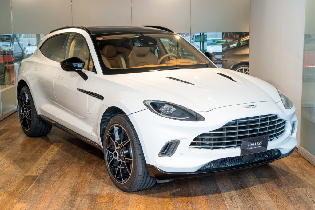 DBX　ルナーホワイト 左H